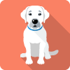 Rosie Avatar